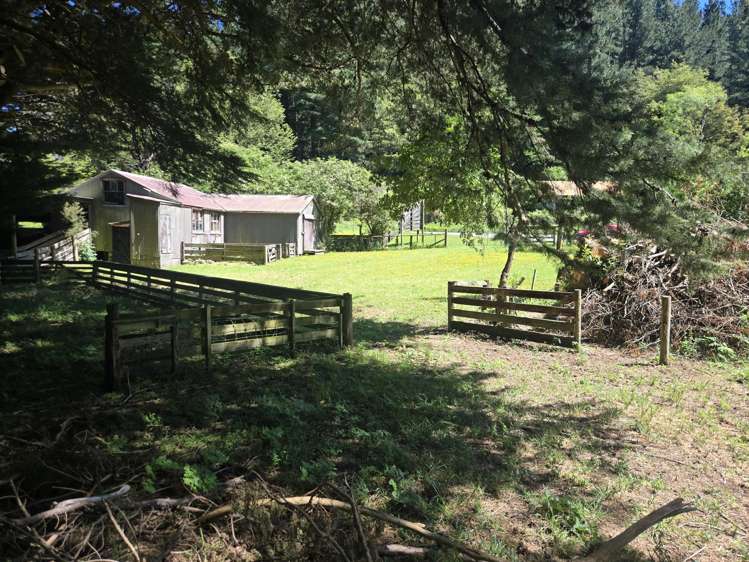 240 Sladdens Bush Road Coopers Creek_6