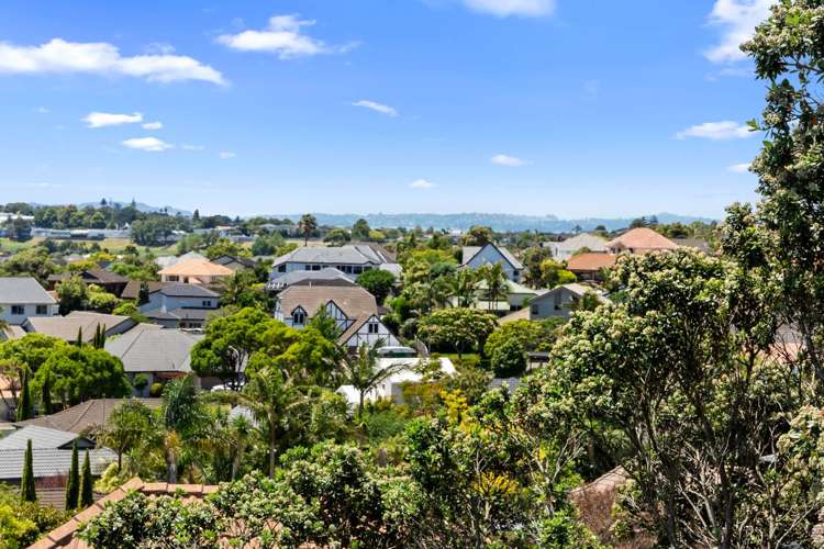 214 Whitford Road Shamrock Park_11