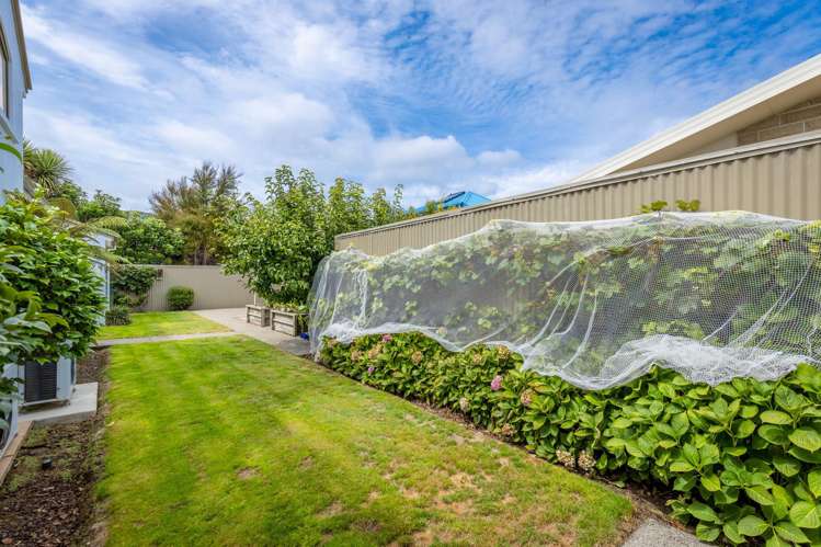 2 Cambria Street The Wood_23