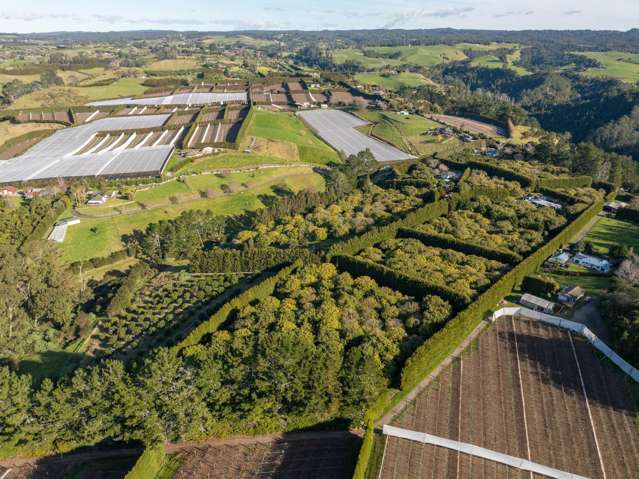 261 Wainui South Road Whakamarama_2
