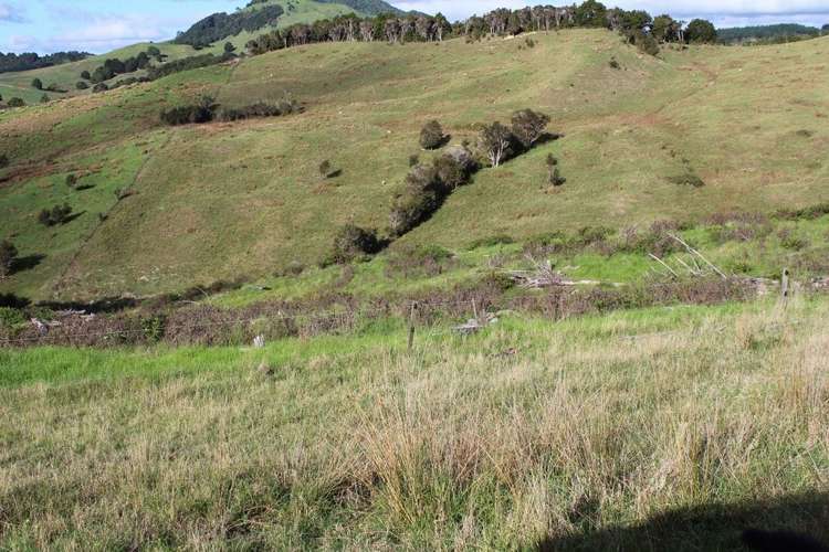 Pipiwai Road Ruatangata_12