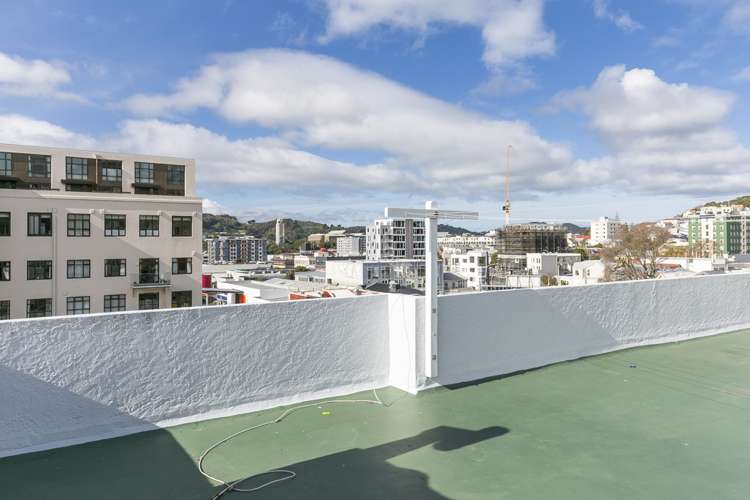 8/4 Oak Park Avenue Te Aro_11