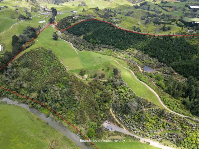 241 Work Road Aongatete_3