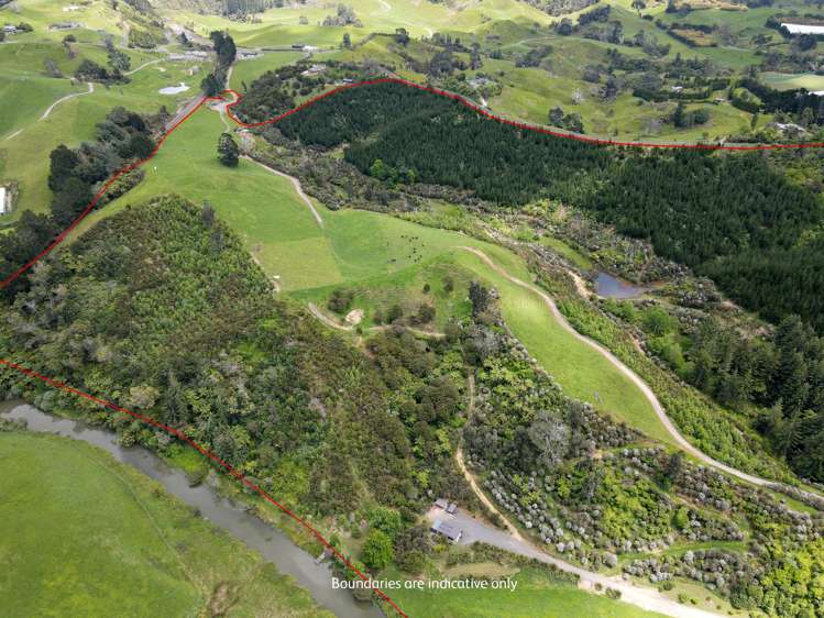 241 Work Road Aongatete_3