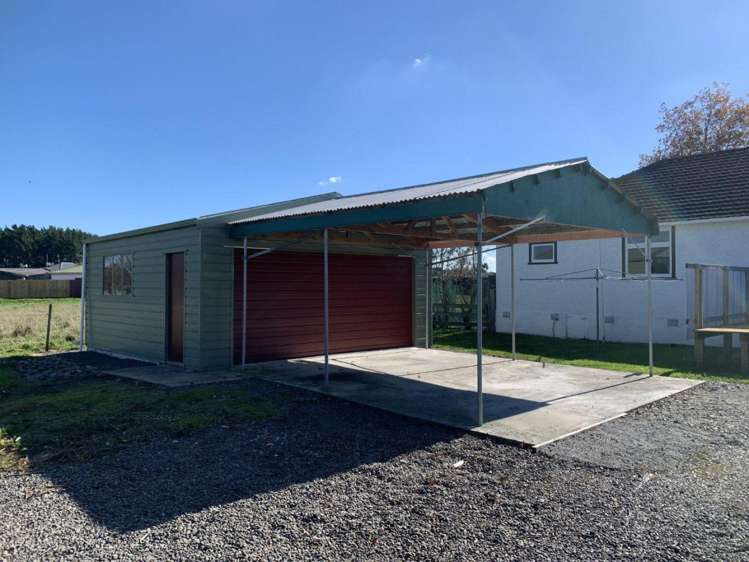  25 Flower Street Bulls_12