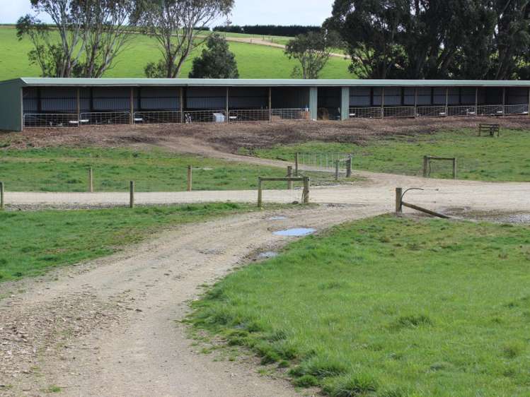 380 Matheson Road Catlins Surrounds_13