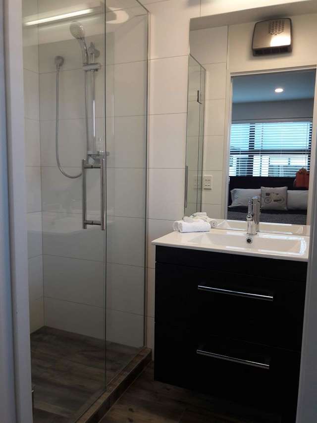 40C Hutcheson Street Sydenham_2