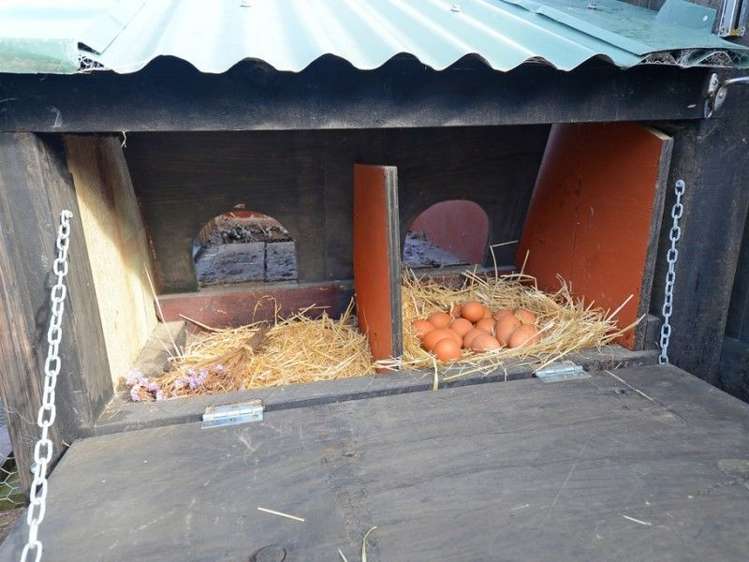 21 Whakatiki Street Trentham_16