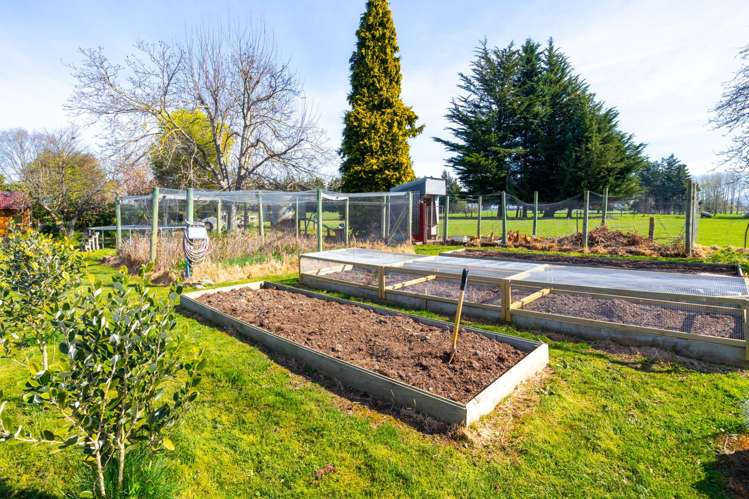 258a Talbot Street Geraldine_12