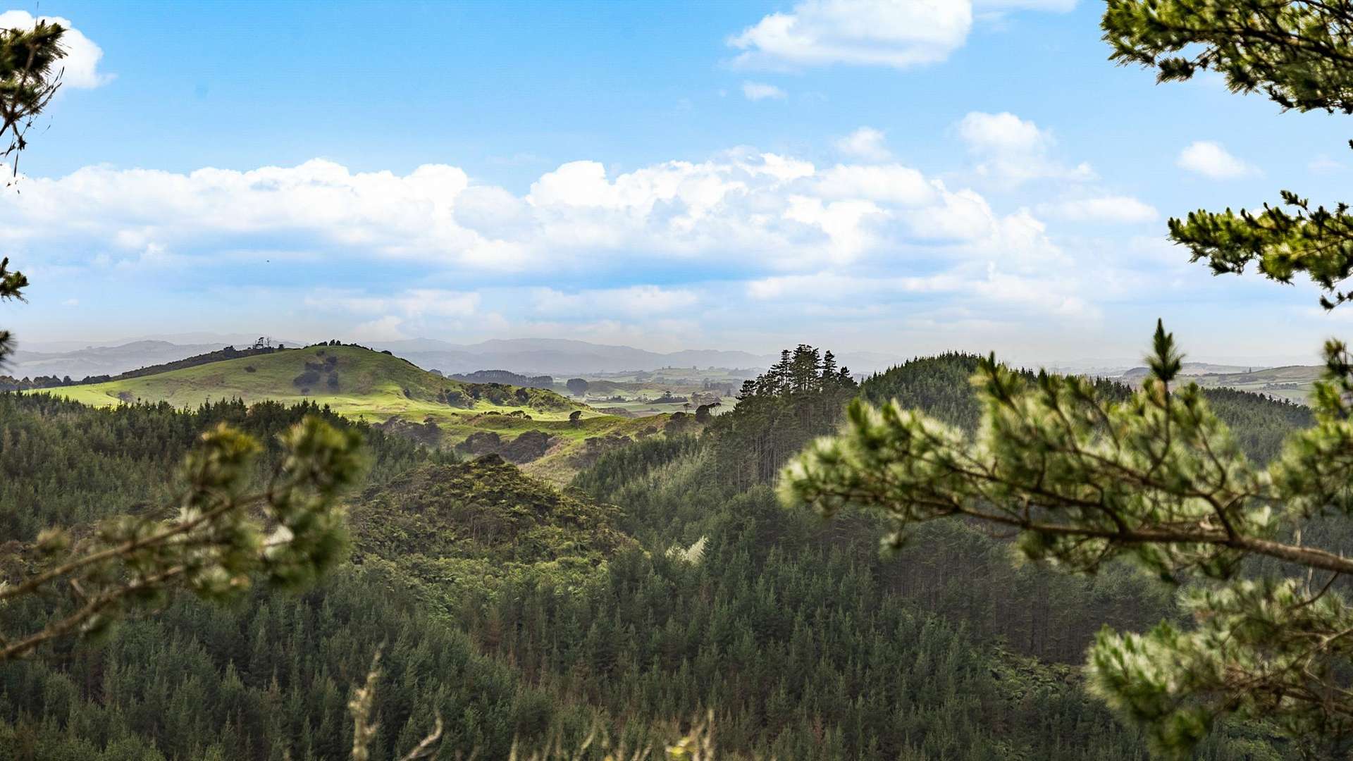 937 Klondyke Road Port Waikato_0