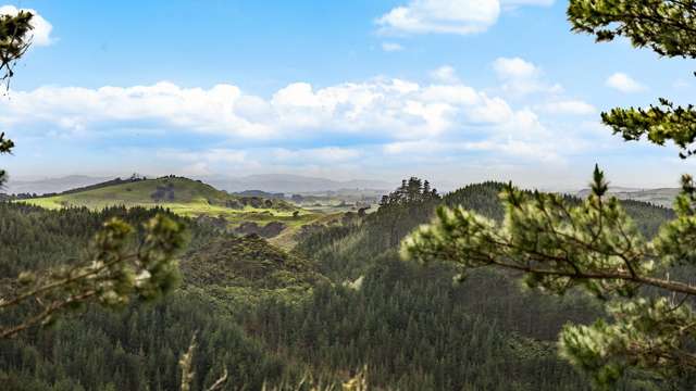 Forestry, grazing or hunting opportunity