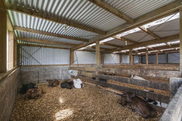 253 Cross Road Te Popo_21