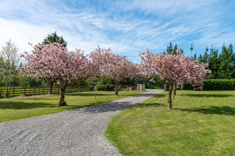 38 Portland Road Carterton_29