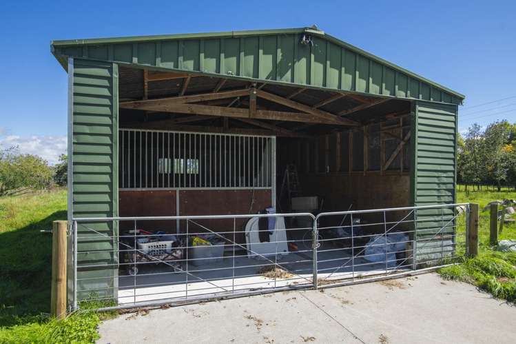 140 Hansen Road Makauri_13