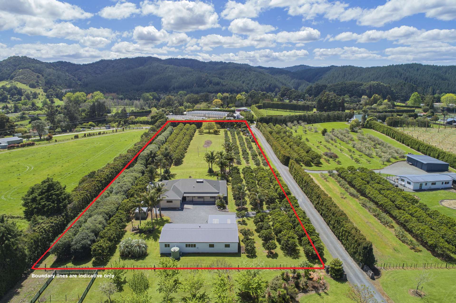 21 Richards Road Kauri_0