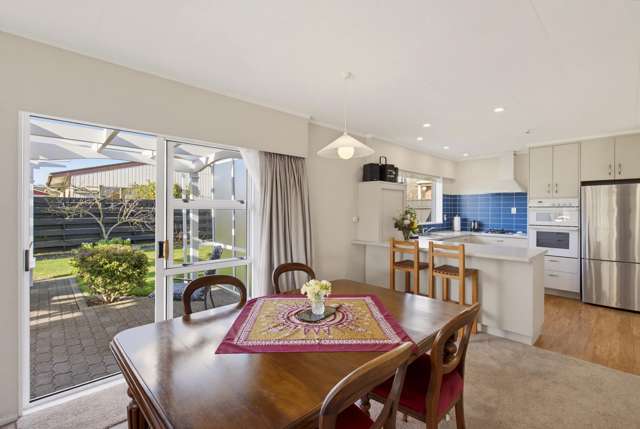 31 Burn Street Levin_2