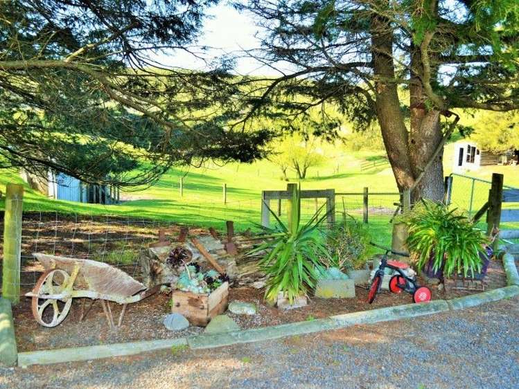 944 Puketapu Road Puketapu_19