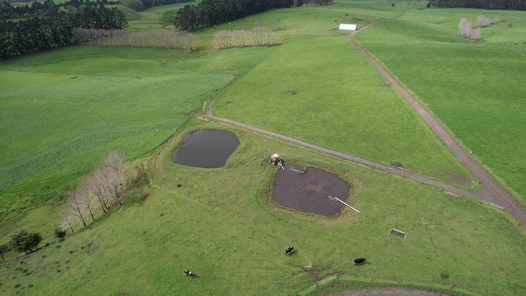 619 Rakauwahia Road Kaikohe_10