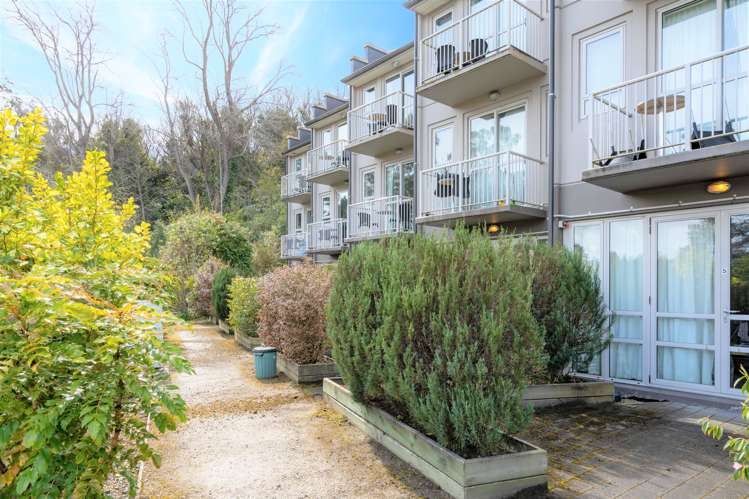 3/73 Buccleugh Street North East Valley_21