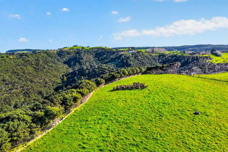 Lot 2/DP 320978 South Head Road Helensville_13