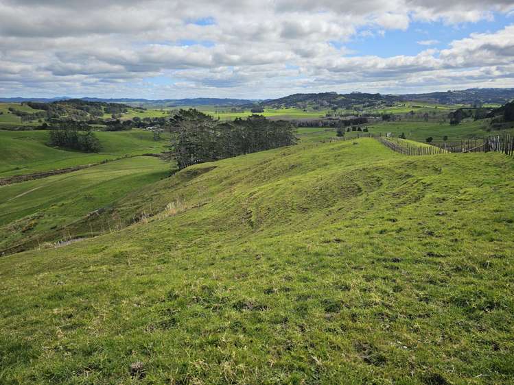 113C Marua Road Hikurangi_35