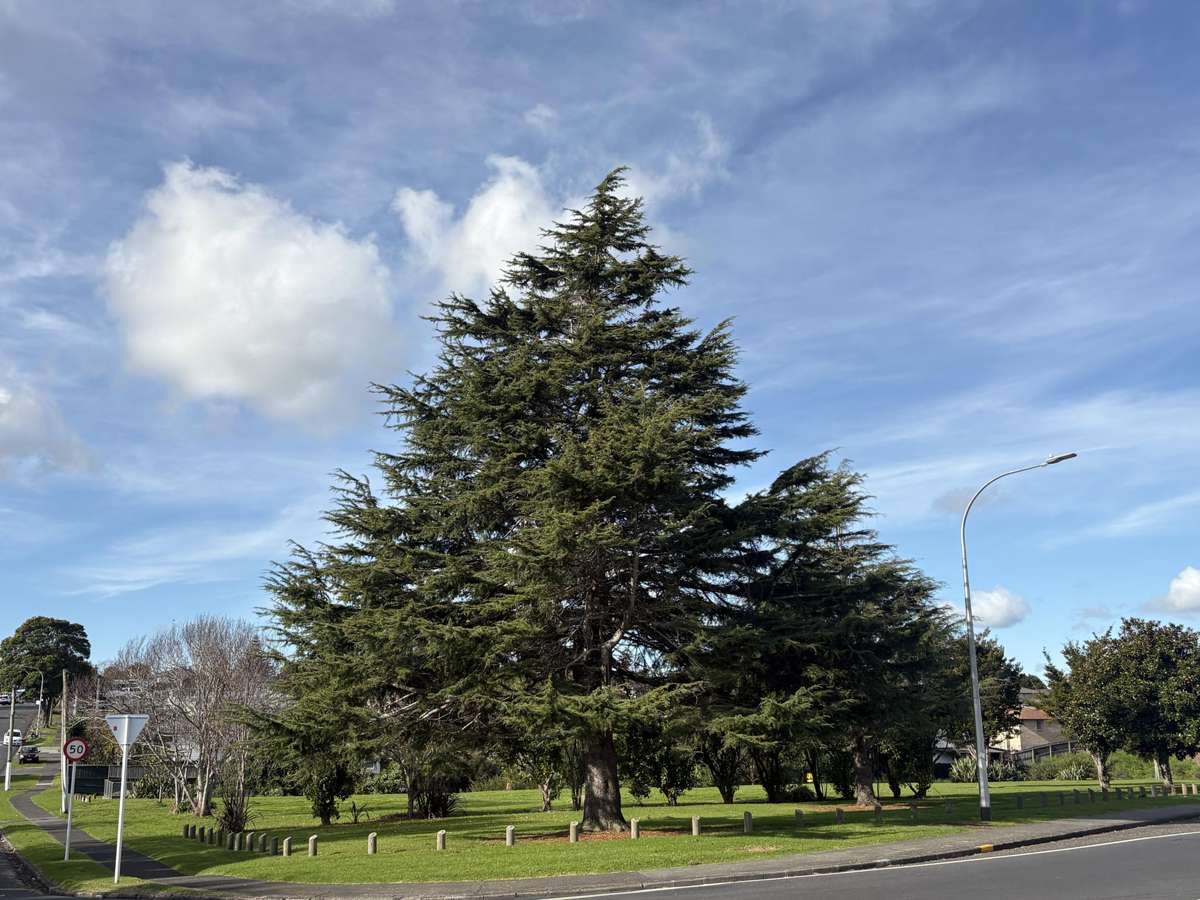 97 Coxhead Road_5
