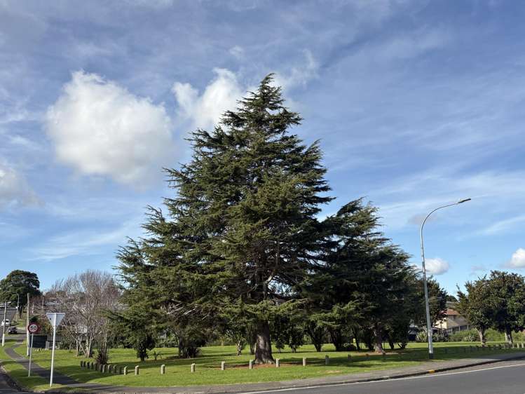 97 Coxhead Road Manurewa_9