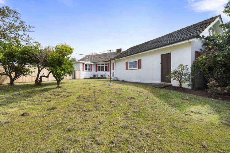 33 Daniell Street Bulls_27