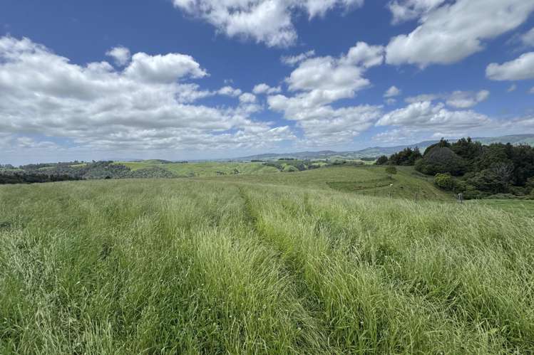 565 Barber Road Otewa_43