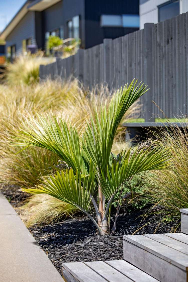 2 Taeore Lane Raglan_7