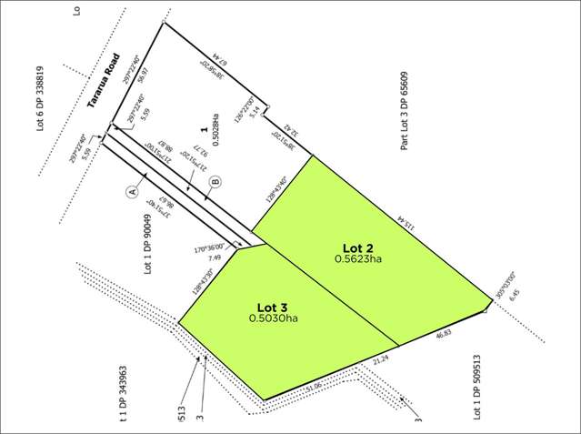 372A Tararua Road Levin_3