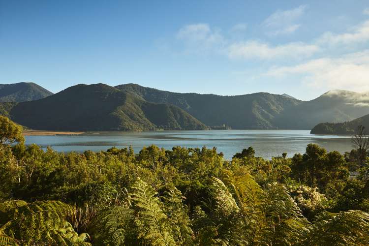 93a Main Road Havelock_1