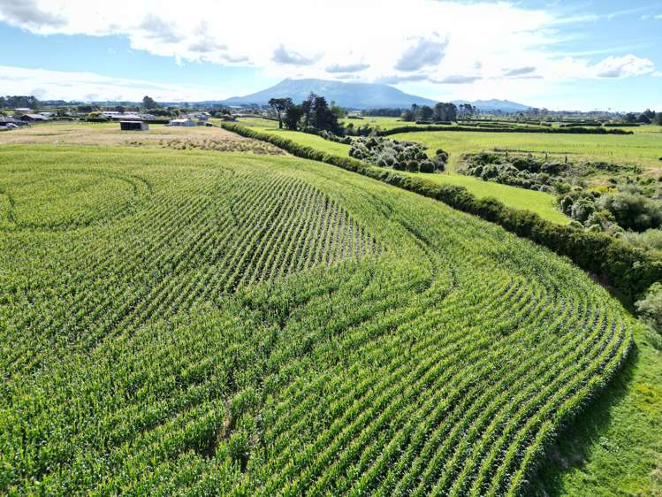 Monmouth Road Stratford_7