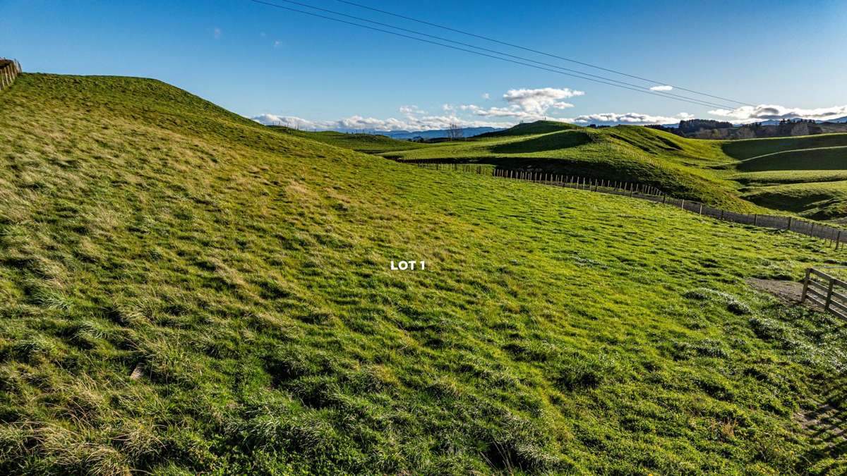 Lots 1 - 4, 2333 Puketitiri Road (subdivision of)_2