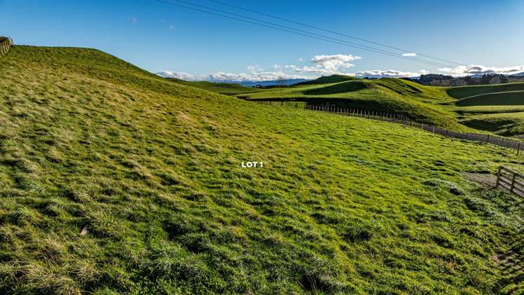 Lots 1 - 4, 2333 Puketitiri Road Rissington_6