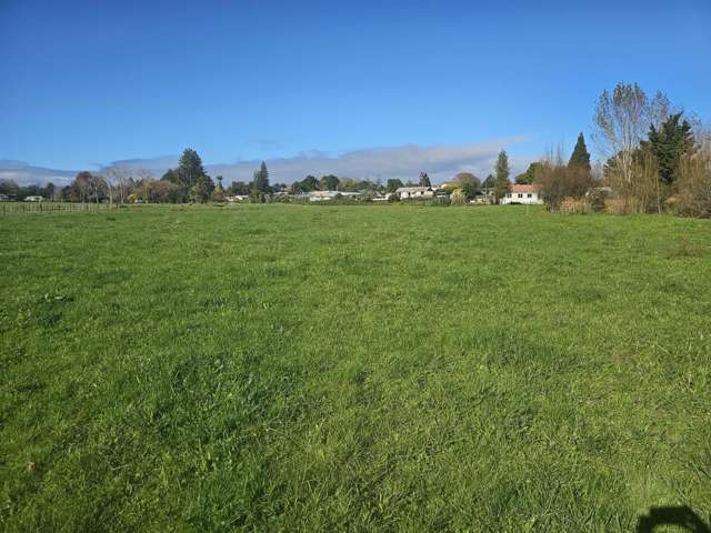 Lots of Land In Town