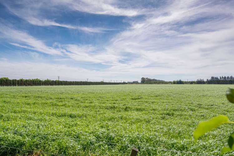 391 Weedons Road Rolleston_18