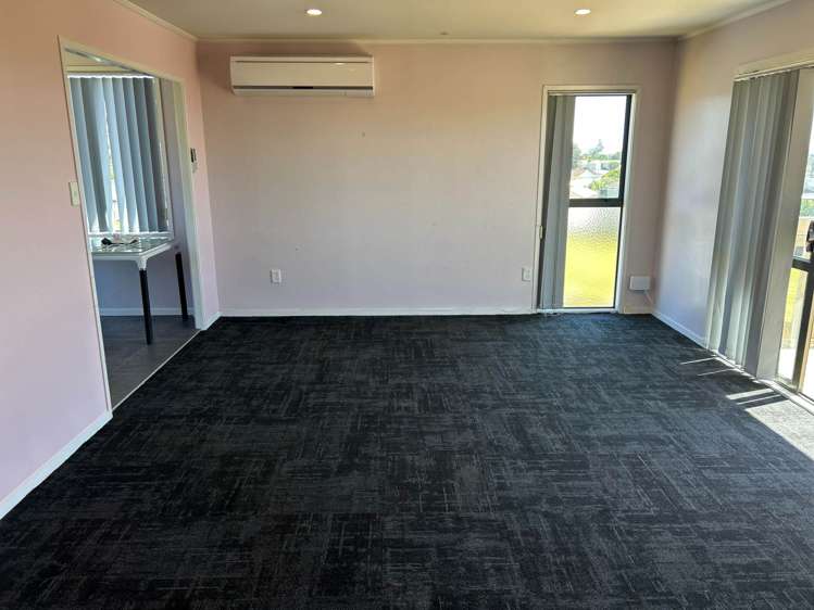 Matthews Road Flat Bush_8