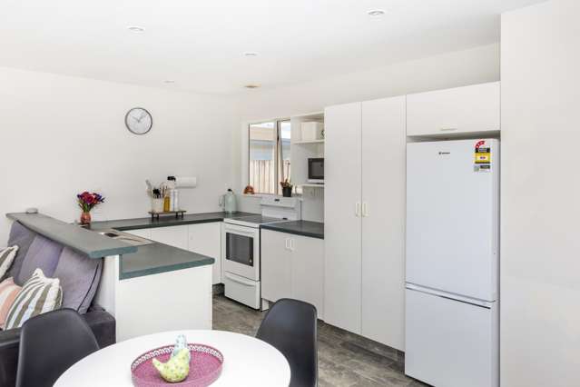 14 Millar Street Sydenham_4