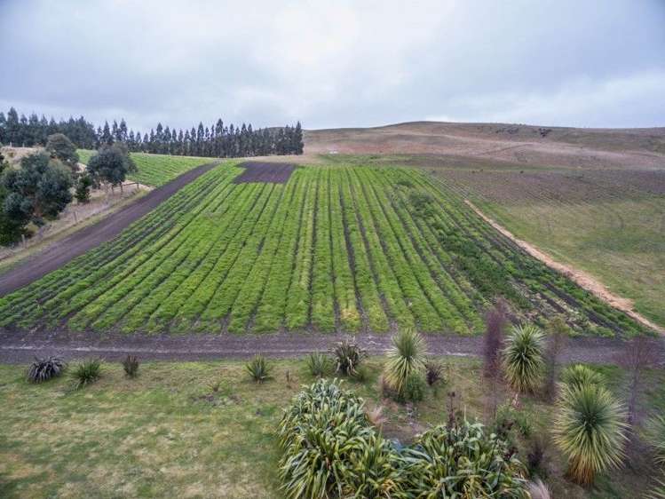 140 Glendhu Road Motunau_14