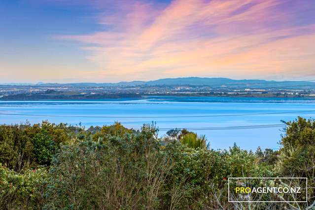 Flat Land & Manukau Harbour Views!