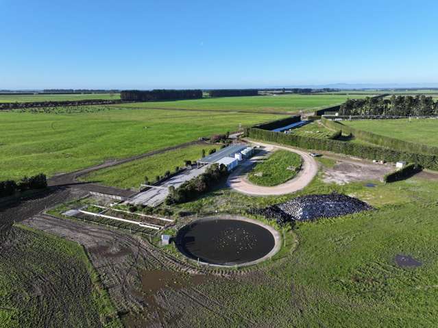 2830 North Rakaia and 317 South Two Chain Road Dunsandel_3