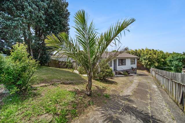 25 Catkin Crescent Papatoetoe_1