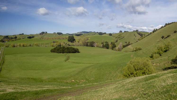 72 Te Hau Road Masterton_15