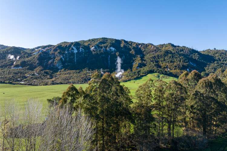 1038 Te Kopia Road Waikite Valley_9