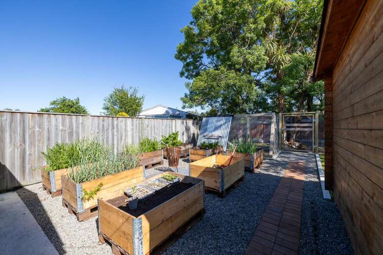 19 Kippenberger Street Lansdowne_14