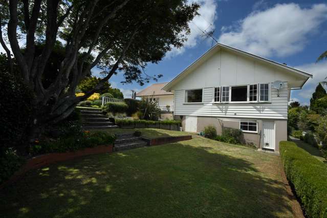 316 Douglas Avenue Te Awamutu_2