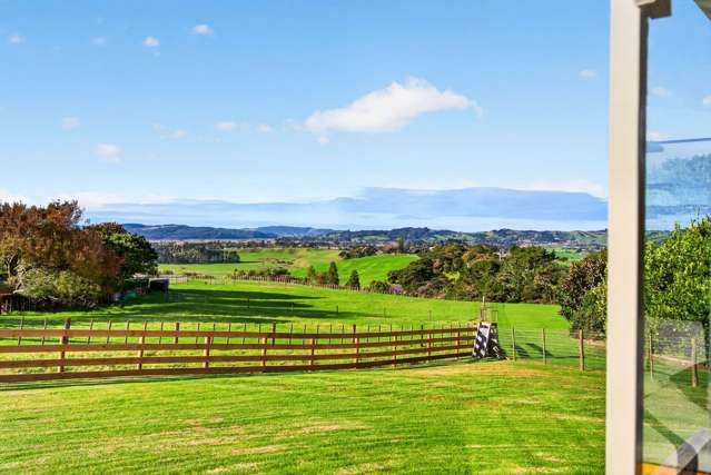 494 Fordyce Road Helensville_3