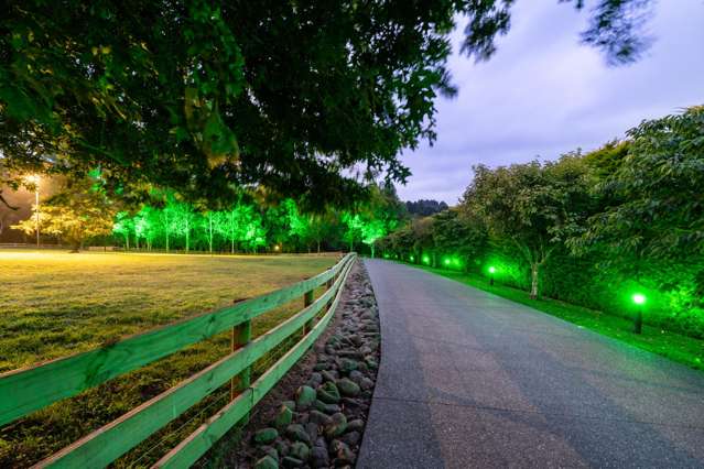 35 Eucalyptus Way Nikau Valley_3