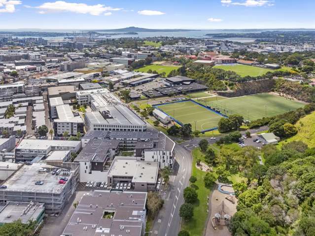 10 Normanby Road Mt Eden_2